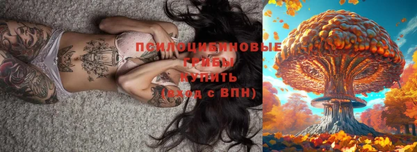 хмурый Алексеевка