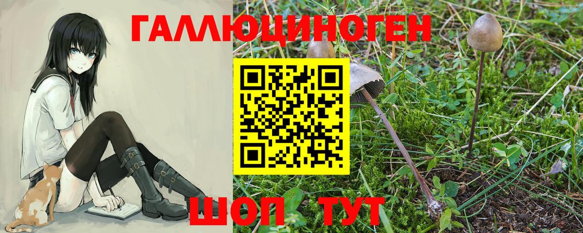 Галлюциногенные грибы Magic Shrooms  Псилоцибиновые грибы мицелий  закладки  Кемерово  Вход с VPN 