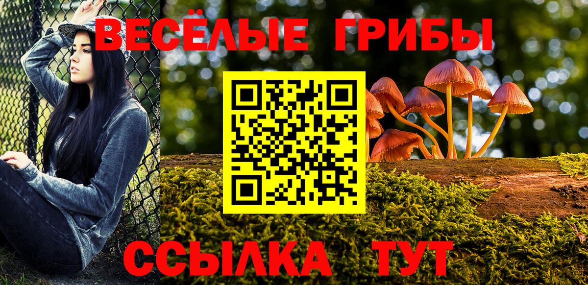 Галлюциногенные грибы мицелий Кемерово