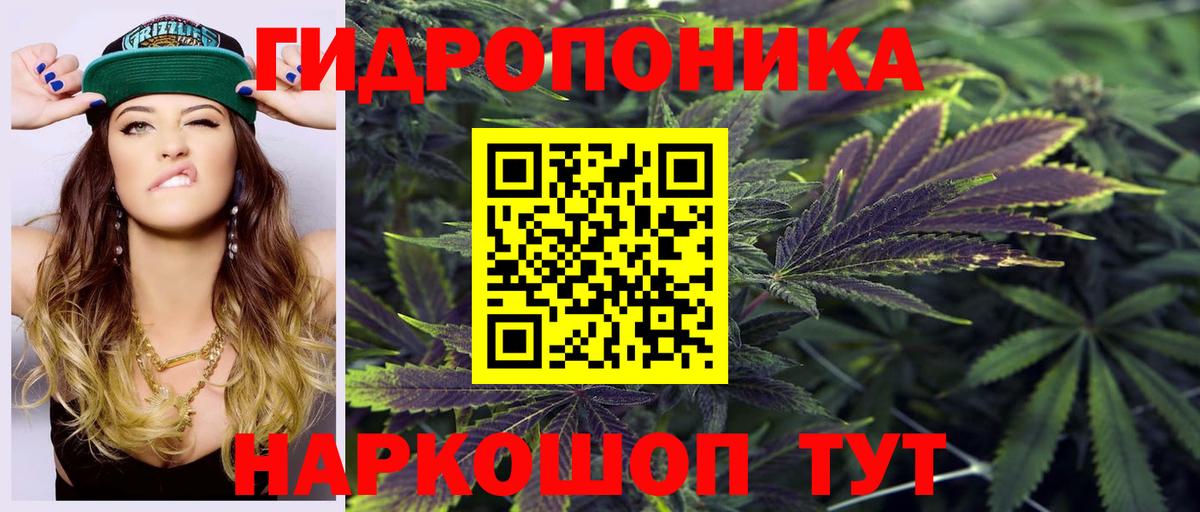 Кемерово  Канабис индика  Конопля планчик  Бошки Шишки MAZAR  Вход с VPN 